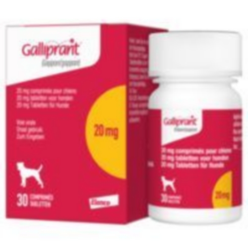 GALLIPRANT 20 MG (3,6-13,6 KG) 	b/30      	 cpr